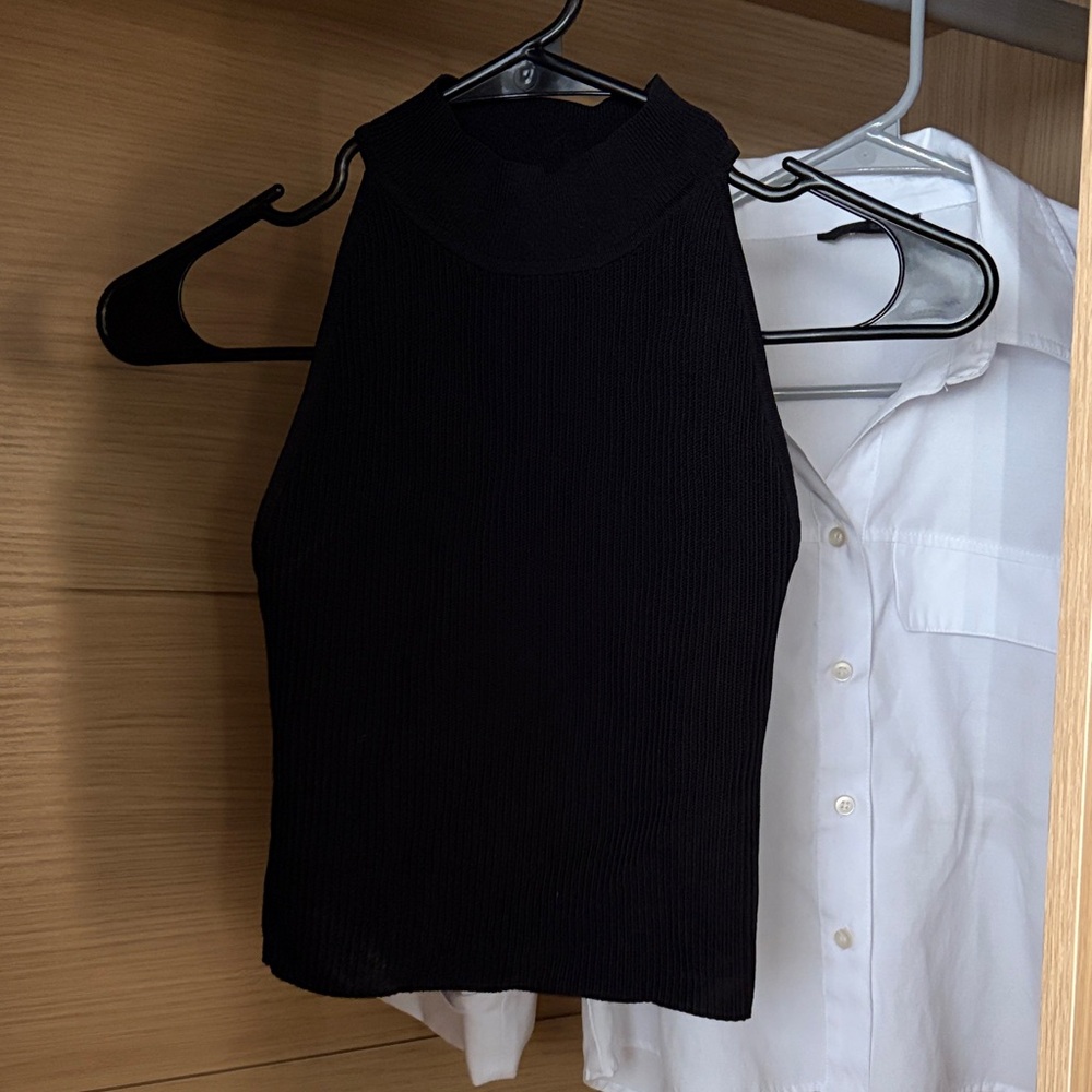 Aritzia Black Ribbed High-Neck Crop Top